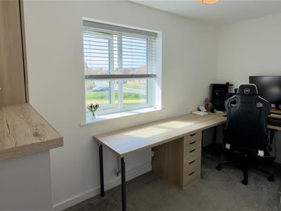 Picture 31